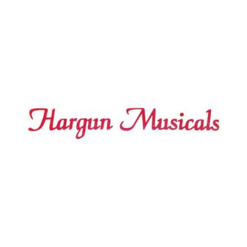 Hargun Musicals Instruments Shop